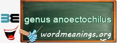 WordMeaning blackboard for genus anoectochilus